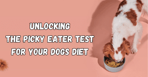 Unlocking the Picky Eater Test for Your Dogs Diet