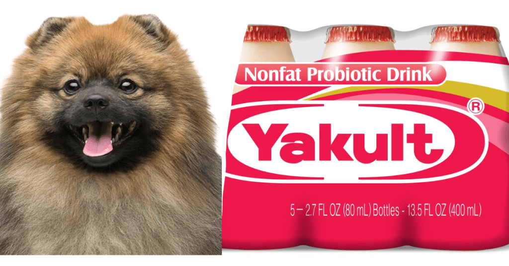 Can Dogs Drink Yakult? (A Healthy Treat Or Not?)