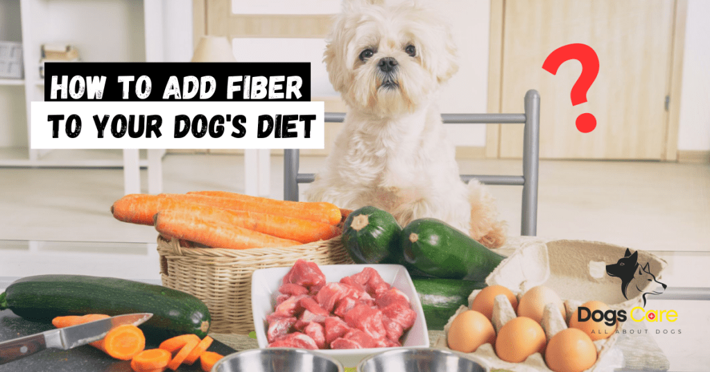 how to add fiber to your dog's diet